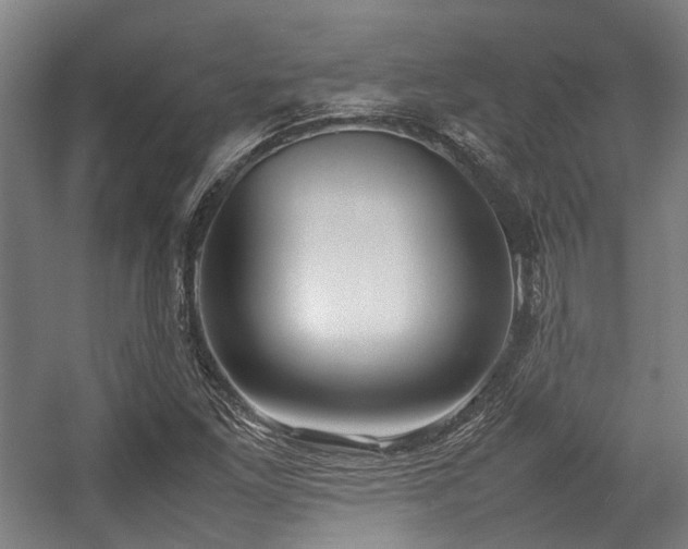 X0000057061261200509120839