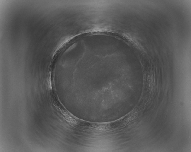 X0000057061262200509120839