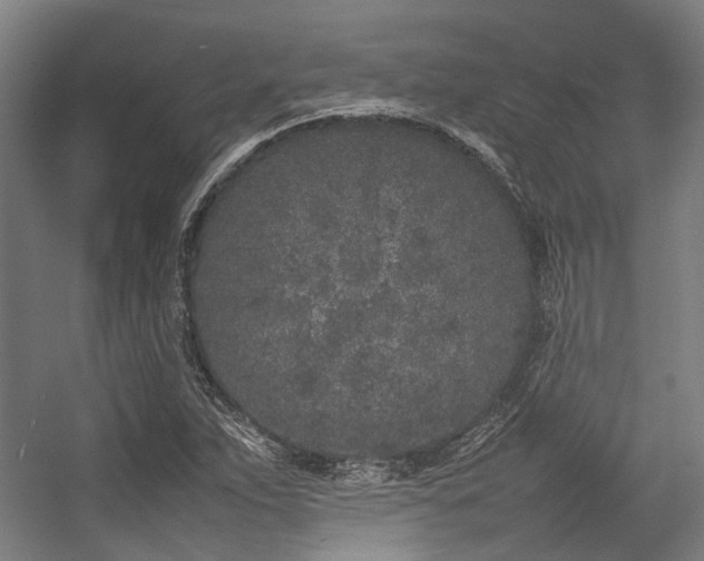 X0000057061263200509120839