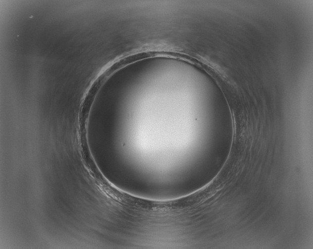 X0000057061264200509120839