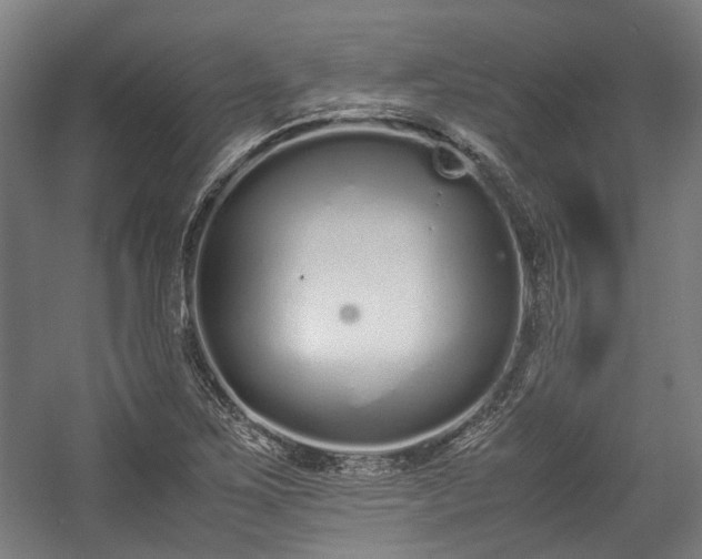 X0000057061267200509120839