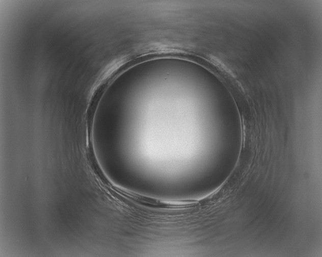 X0000057061269200509120839