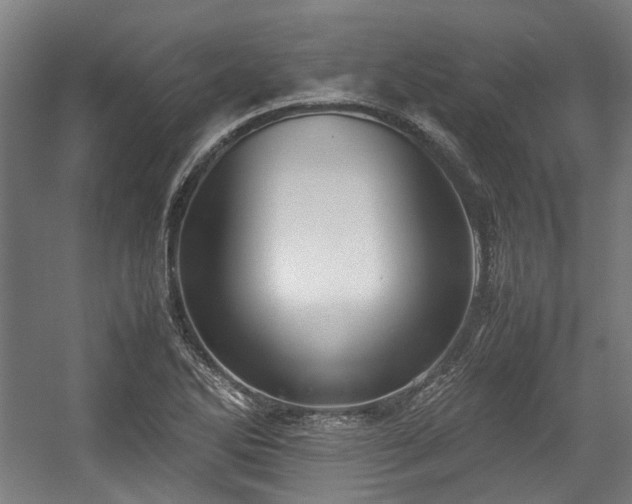 X0000057061270200509120839