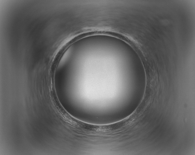 X0000057061271200509120839