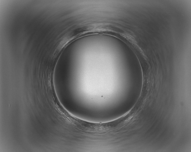 X0000057061273200509120839