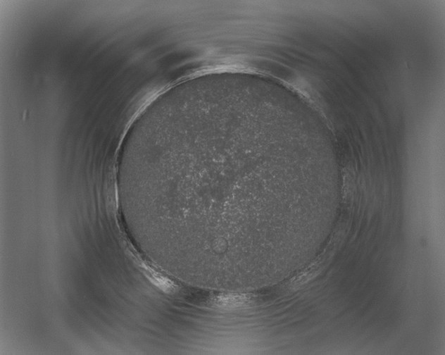 X0000057061274200509120839