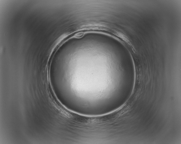 X0000057061275200509120839