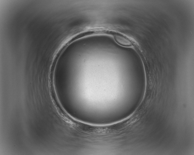 X0000057061279200509120839