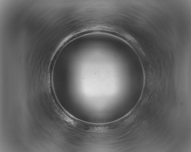 X0000057061280200509120839