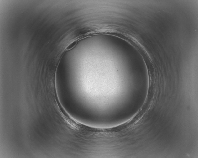 X0000057061281200509120838