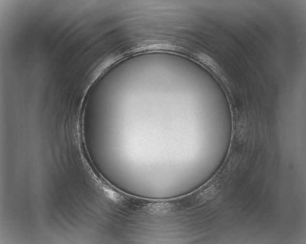 X0000057061282200509120838