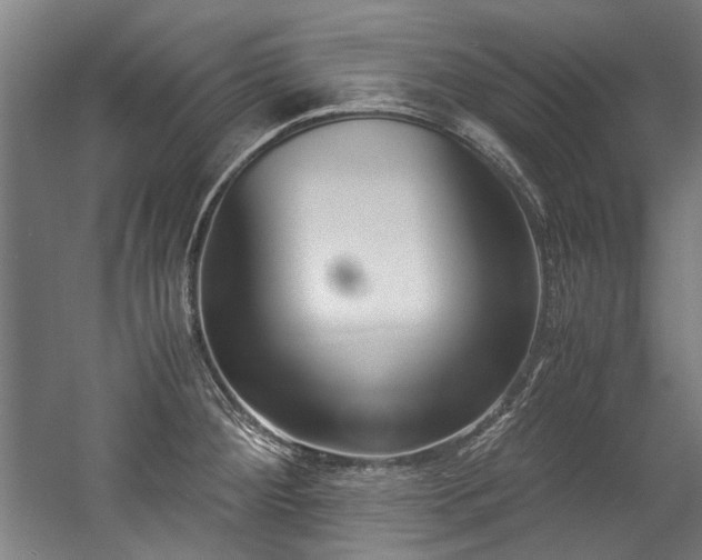 X0000057061284200509120838