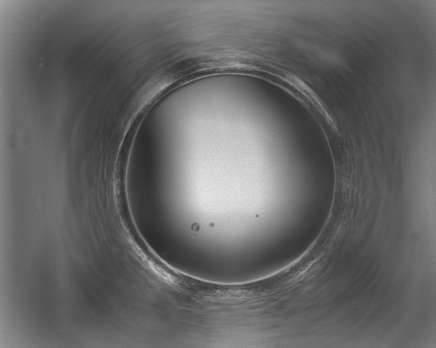 X0000057061285200509120838