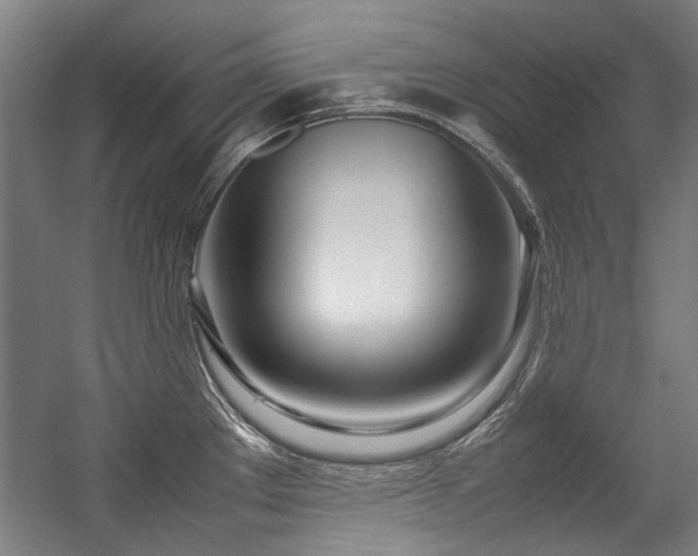 X0000057061289200509120838