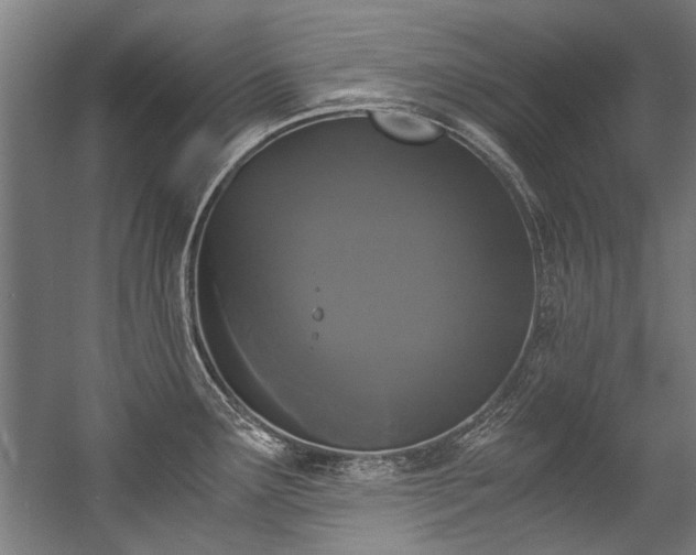 X0000057061291200509120838