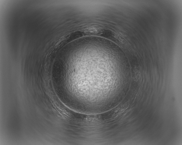 X0000057061297200509120837