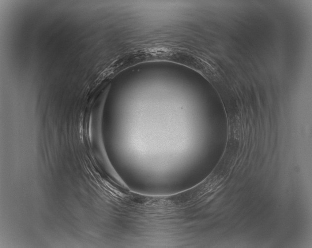 X0000057061298200509120837