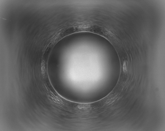 X0000057061299200509120837