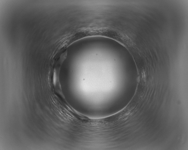 X0000057061300200509120837