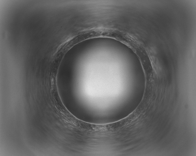 X0000057061302200509120838