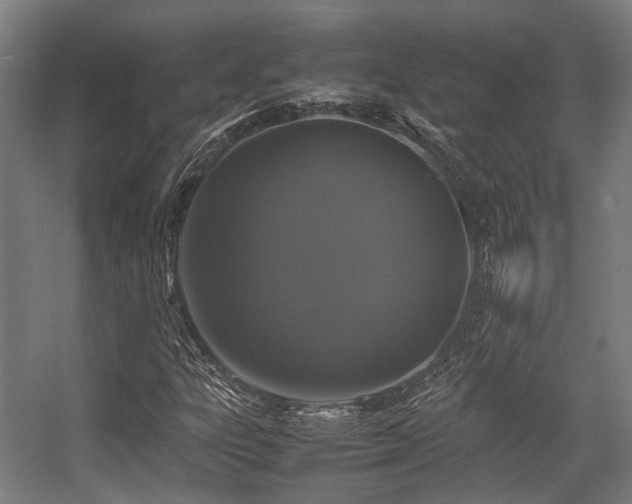 X0000057061303200509120838