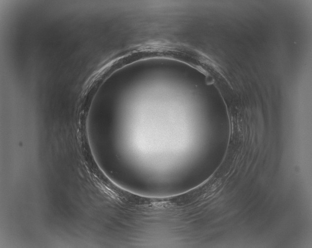 X0000057061304200509120838