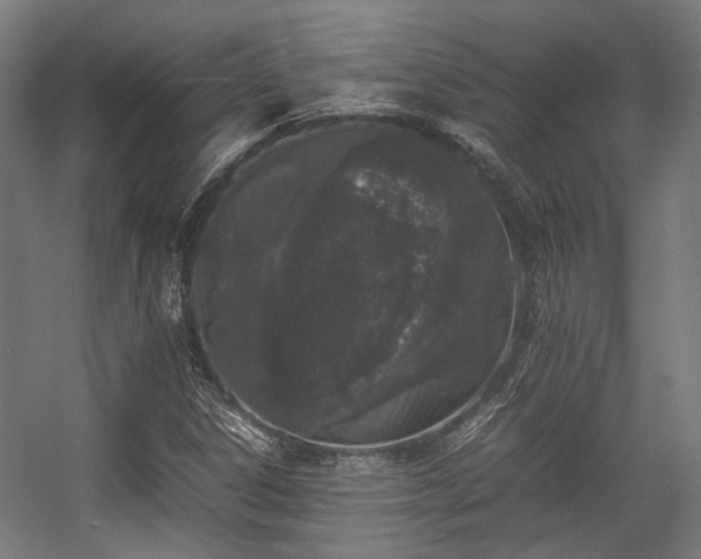 X0000057061306200509120838