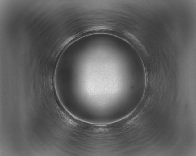 X0000057061321200509120838