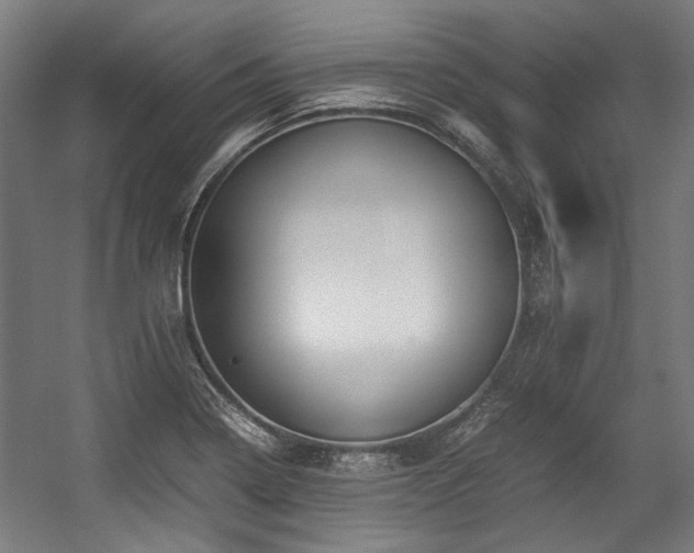 X0000057061322200509120838