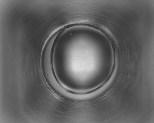 X0000057061324200509120838