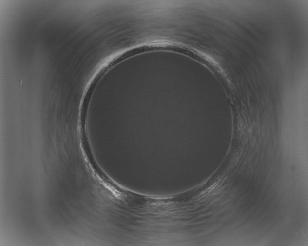 X0000057061327200509120838