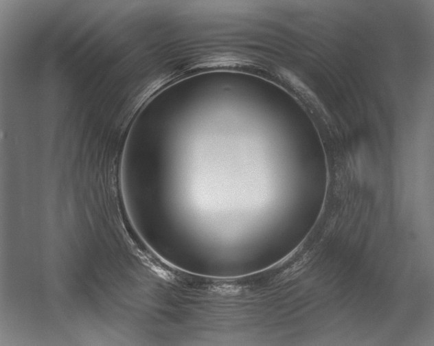 X0000057061329200509120838