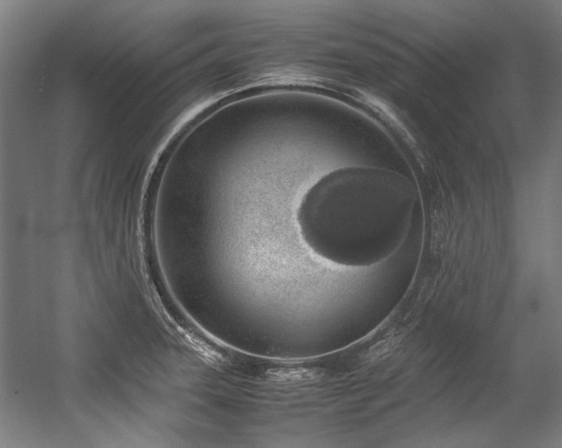 X0000057061331200509120838