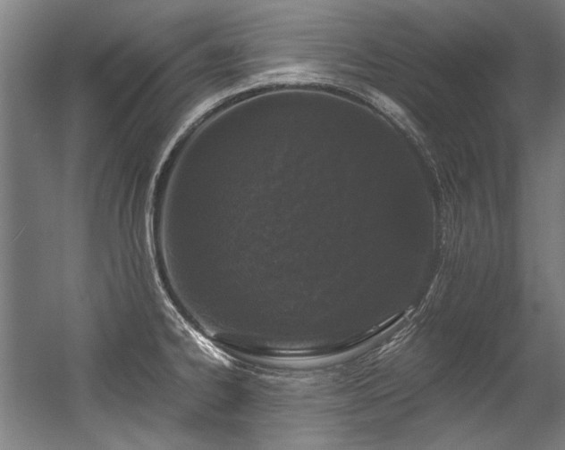 X0000057061334200509120838