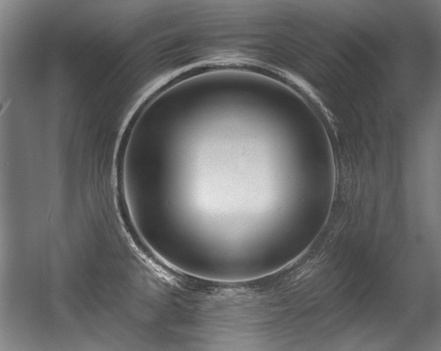 X0000057061335200509120838