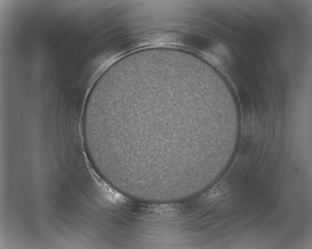 X0000057061338200509120838