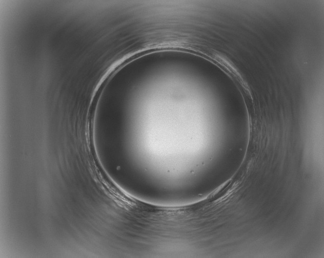 X0000057061340200509120838