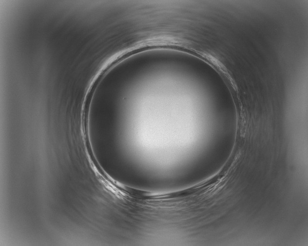 X0000057061342200509120838