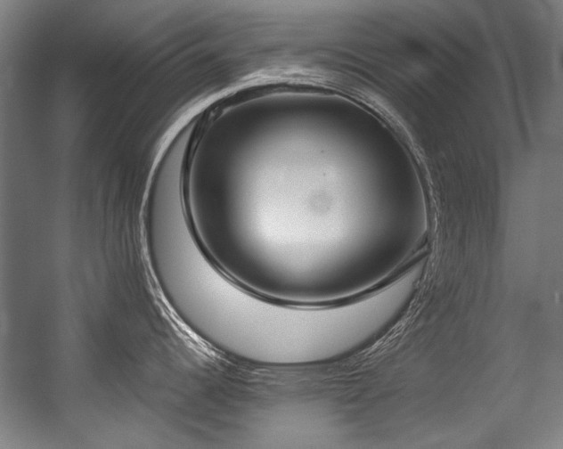 X0000057061344200509120838