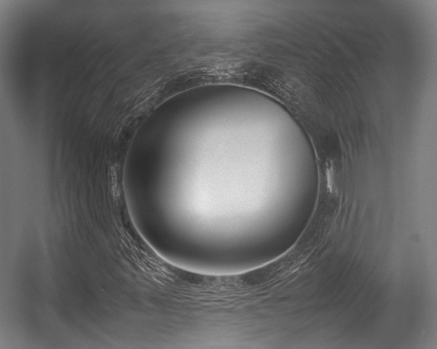 X0000057061347200509120837