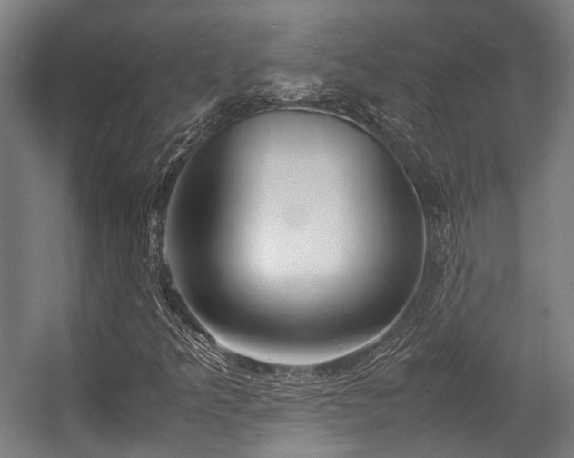 X0000057061349200509120837