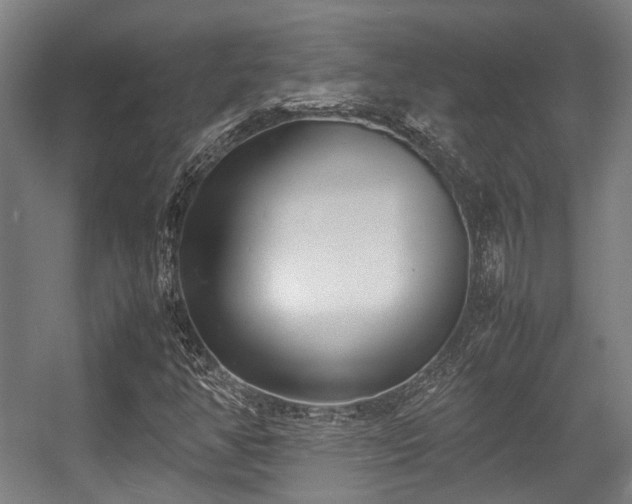 X0000057061350200509120837