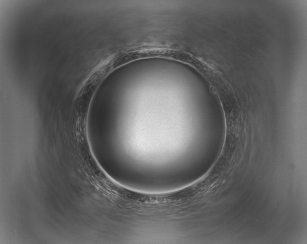 X0000057061351200509120837