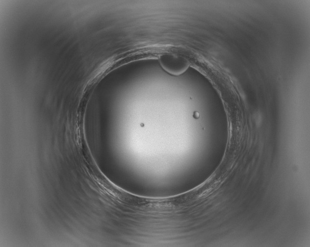 X0000057061354200509120837