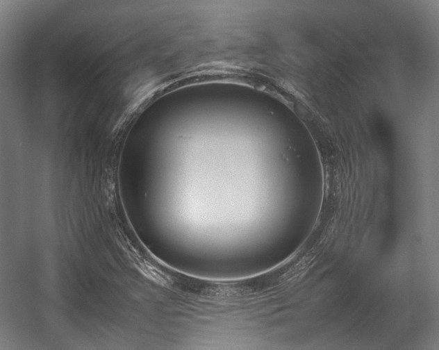 X0000057061355200509120837