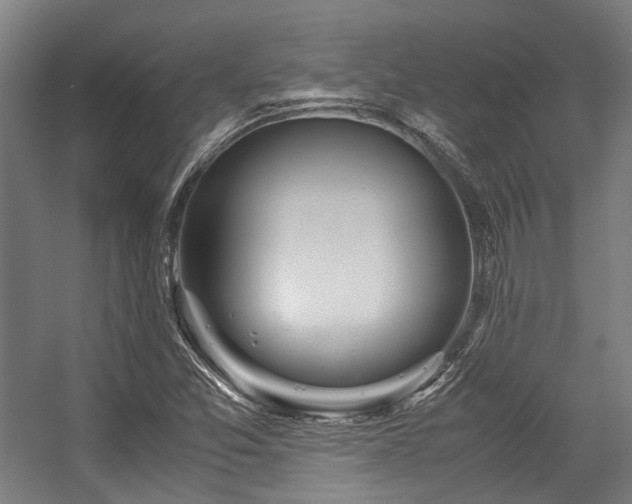 X0000057061357200509120837