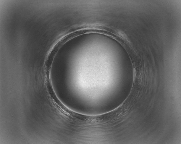 X0000057061360200509120837