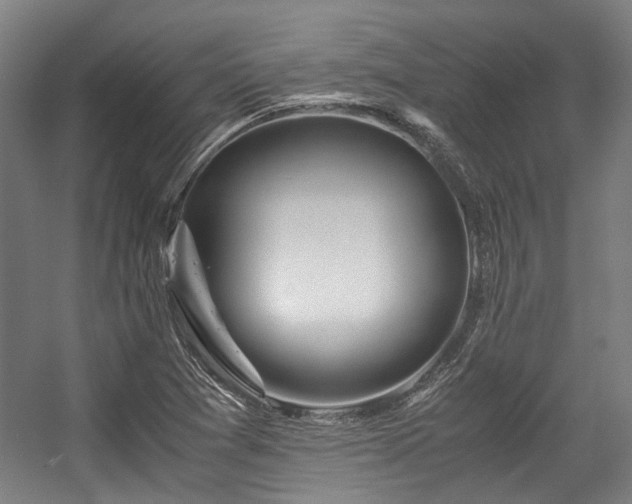 X0000057061361200509120837