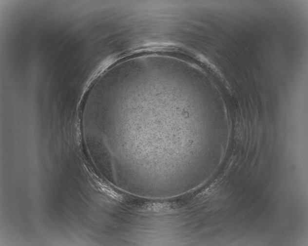 X0000057061362200509120837