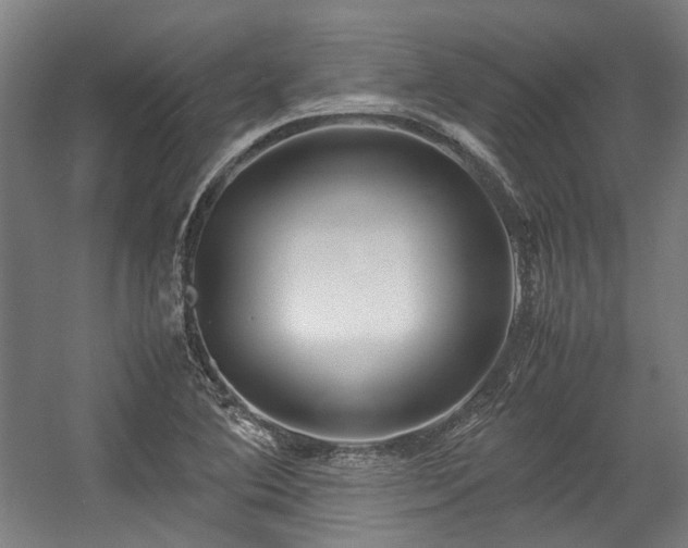 X0000057061364200509120837